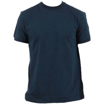 Textil Homem T-shirts e Pólos Colmar  Azul