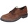 Sapatos Homem Sapatos & Richelieu Moma EY550 65303A Castanho