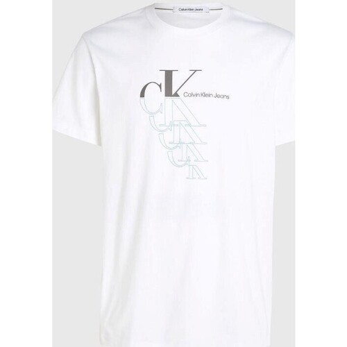Textil Homem T-Shirt mangas curtas Calvin Klein JEANS print J30J325352YAF Branco
