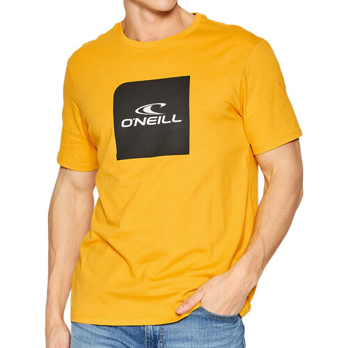 Textil Homem A great extra layer to throw over your hoodies and long-sleeved tops this season O'neill  Amarelo
