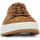 Sapatos Homem Sapatilhas Timberland Maple Grove Castanho