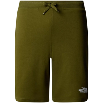 Textil Homem Shorts / Bermudas The North Face NF0A3S4F Verde
