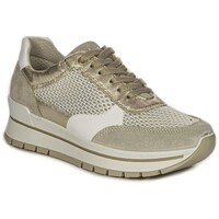 Sapatos Mulher Sapatilhas IgI&CO 5662211 Dourado, Branco, Cor bege