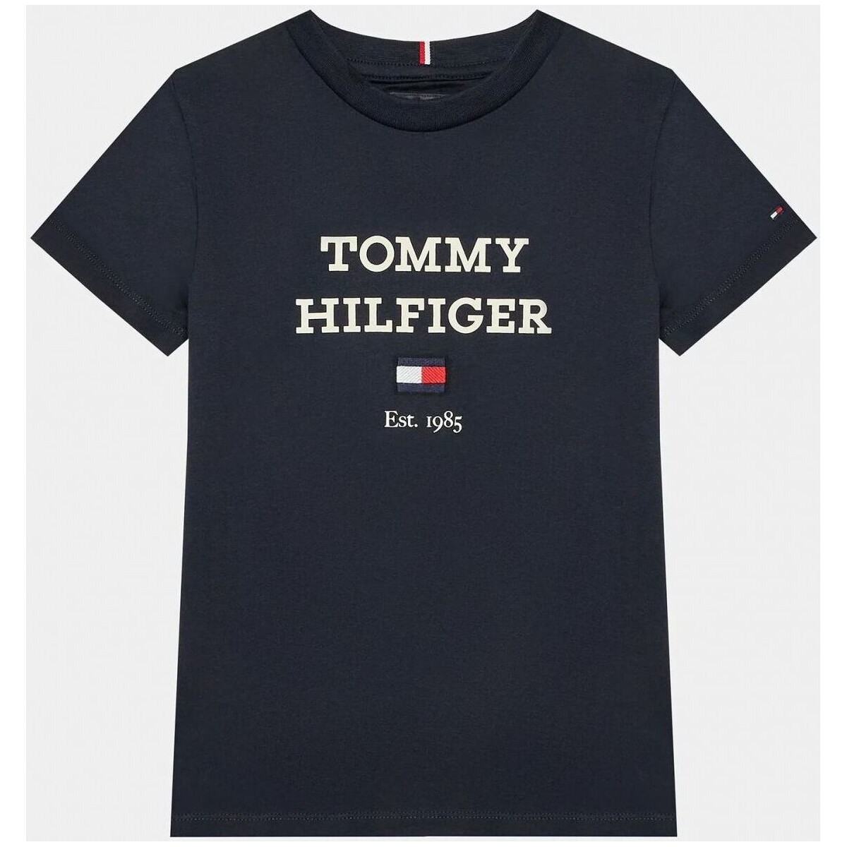 Textil Criança T-shirts e Pólos Tommy Hilfiger KB0KB08671 - TH LOGO-DW5 DESERT SKY Azul