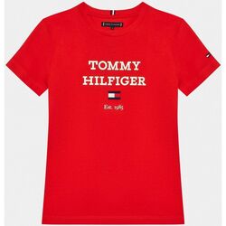 Tommy Hilfiger EM0EM01017YBR