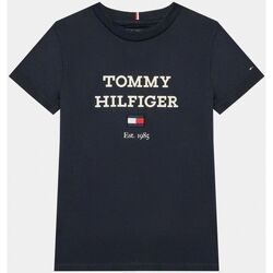 Foulard TOMMY HILFIGER Th Fresh AW0AW11006 0GY