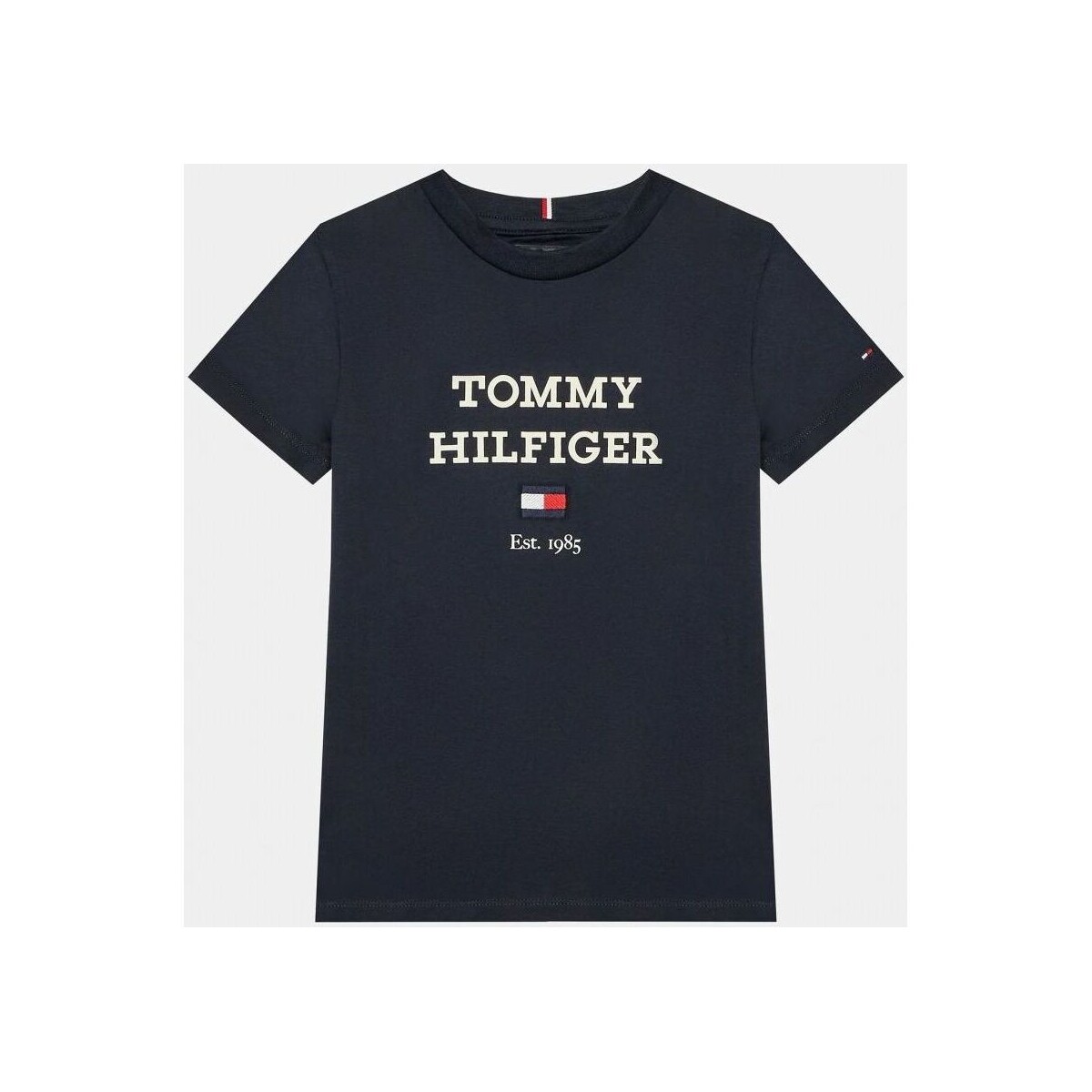 Textil Criança T-shirts e Pólos Kith Tommy Hilfiger KB0KB08671 - TH LOGO-DW5 DESERT SKY Azul