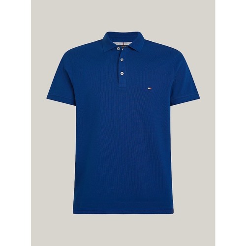 Textil Homem T-shirts e Pólos Tommy Hilfiger MW0MW17770 Azul