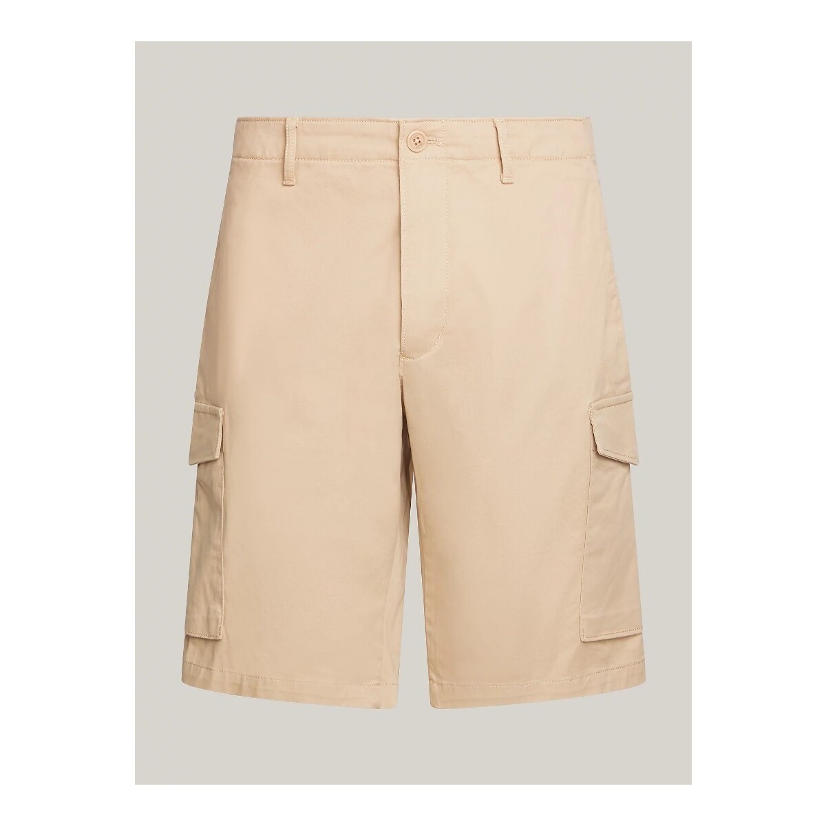 Textil Homem Shorts / Bermudas Tommy Hilfiger MW0MW23573 Cáqui