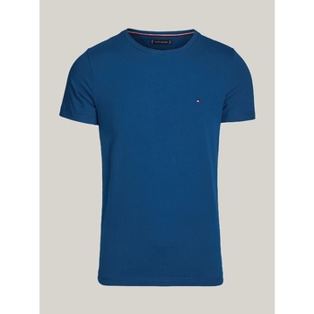Textil Homem T-shirts e Pólos Tommy Hilfiger MW0MW10800 Azul