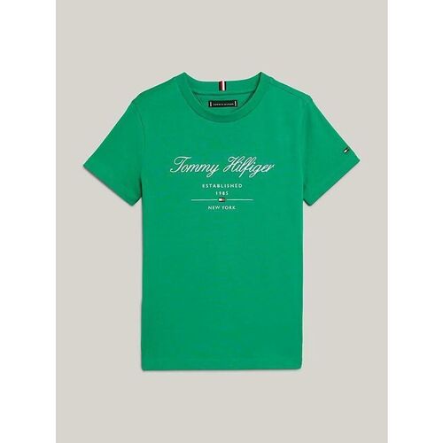 Textil Criança T-shirts e Pólos slides Tommy Hilfiger KB0KB08803-L4B OLYMPIC GREEN Verde