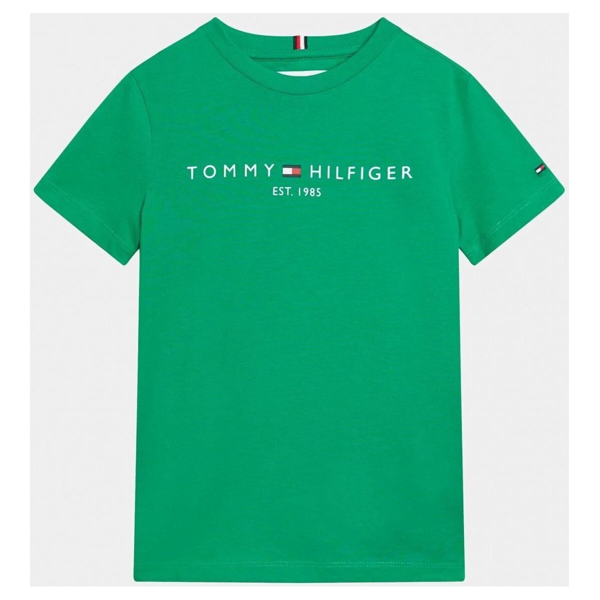 Textil Criança T-shirts e Pólos Tommy Hilfiger KS0KS00397 ESSENTIAL TEE-L4B OLYMPIC GREEN Verde