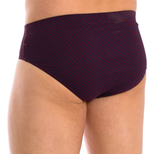 Abanderado A0080-1ON Multicolor