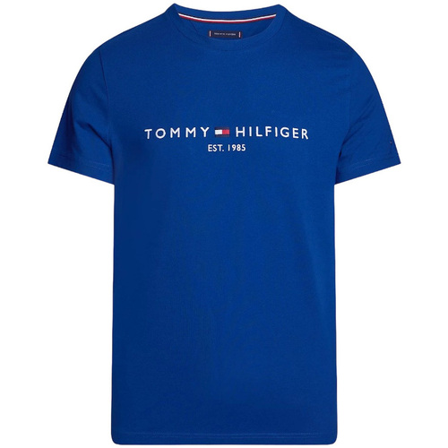 Textil Homem T-shirts e Pólos Tommy Hilfiger MW0MW11797 Azul