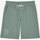 Textil Homem Shorts / Bermudas Oxbow Short ORELANA Verde