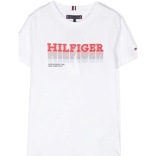 Textil Criança T-shirts e Pólos slides Tommy Hilfiger KB0KB08812 - FADE TEE-YBR WHITE Branco