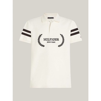 Textil Homem T-shirts e Pólos Tommy Hilfiger MW0MW33588 Branco