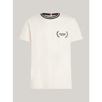 Textil Homem T-shirts e Pólos Tommy Hilfiger MW0MW33681 Branco
