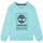 Textil Rapaz Sweats Timberland T60075-75W-37-19 Azul