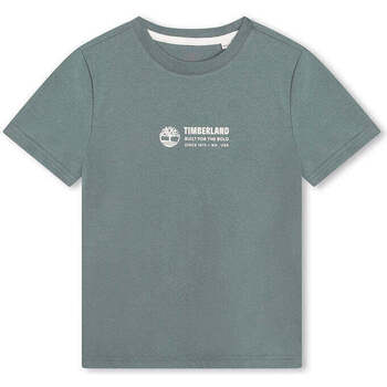 Textil Rapaz T-shirts e Pólos Timberland Medium T60084-817-3-19 Azul
