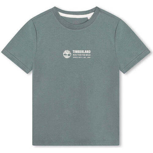 Textil Rapaz T-shirts e Pólos Moccasins Timberland T60084-817-3-19 Azul
