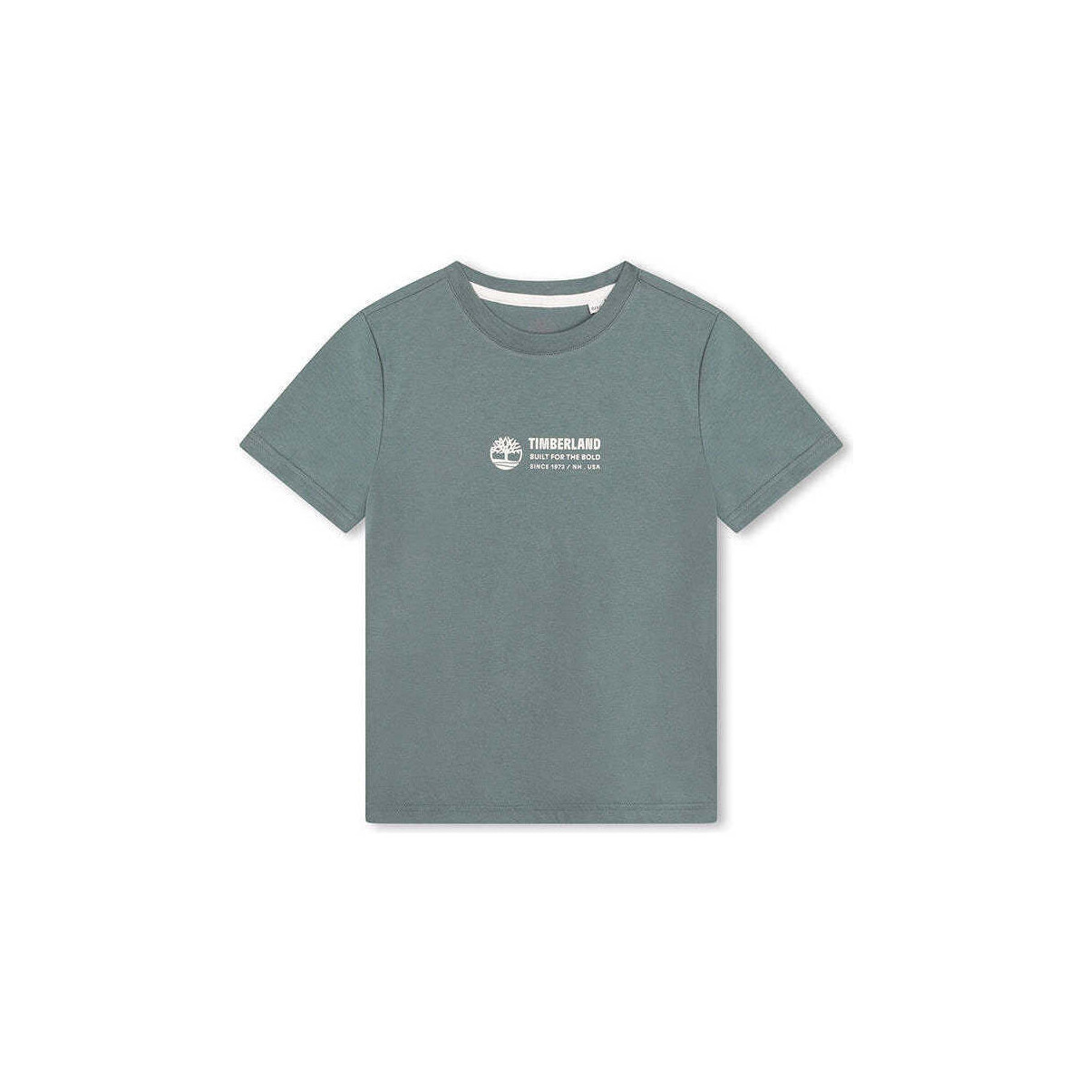 Textil Rapaz T-shirts e Pólos Timberland T60084-817-3-19 Azul