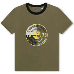 Textil Rapaz T-shirts e Pólos lindenwood Timberland T60086-724-4-19 Verde
