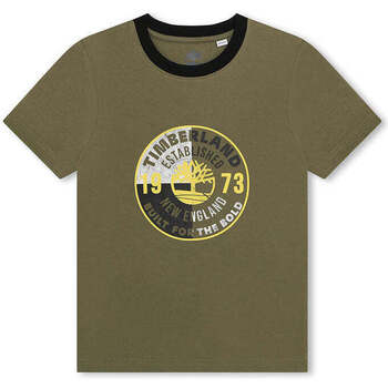 Textil Rapaz T-shirts e Pólos Timberland T60086-724-4-19 Verde