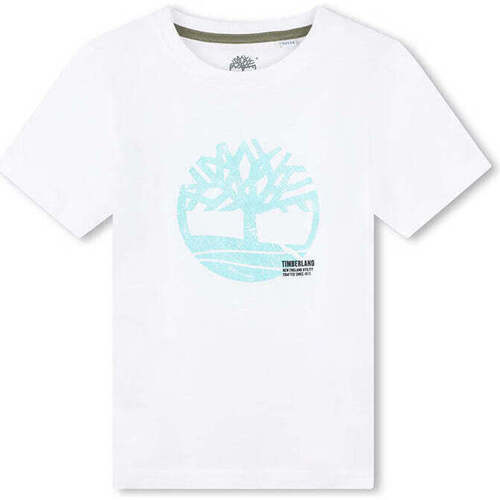 Textil Rapaz T-shirts e Pólos Timberland T60087-10P-1-19 Branco