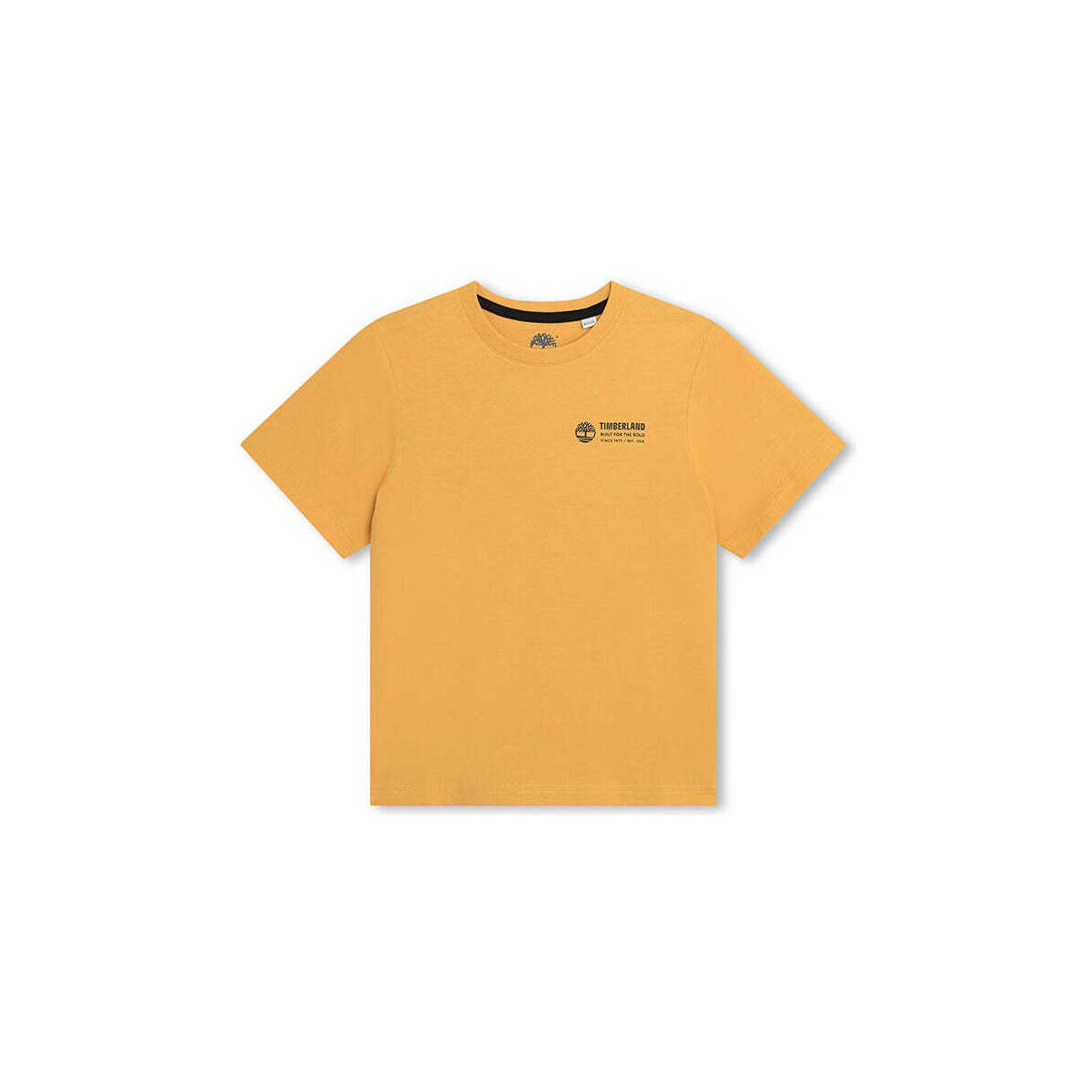 Textil Rapaz T-shirts e Pólos Timberland T60091-58C-10-19 Laranja