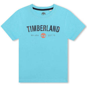 Textil Rapaz T-shirt mangas compridas Timberland T60097-75W-37-19 Azul