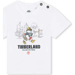 Textil Rapaz T-shirts e Pólos Timberland T60106-10P-1-17 Branco