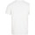 Textil Homem T-Shirt mangas curtas O'neill  Branco
