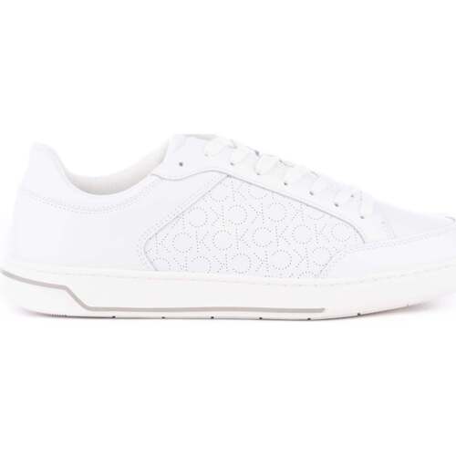 Sapatos Homem Sapatilhas Calvin Klein perforated JEANS Low Top Lace Up Lth Perf Mono Branco