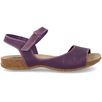 Sapatos Mulher Sandálias Interbios  Violeta