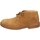Sapatos Mulher Botins Astorflex EY656 Castanho