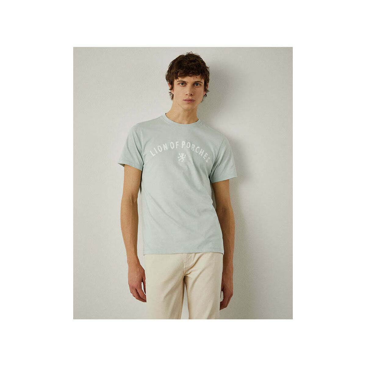Textil Homem T-shirts e Pólos Lion Of Porches LP004263-605-4-1 Verde
