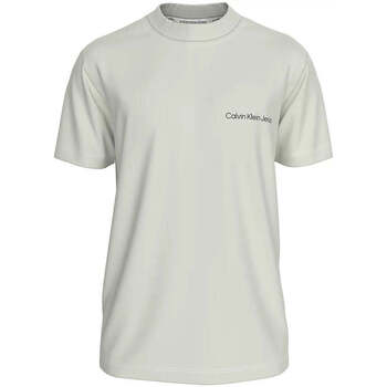 Textil Homem T-shirts e Pólos Calvin Klein Jeans J30J324671-CGA-8-1 Cinza