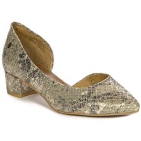 Sapatos Mulher Escarpim Maciejka 4012S25001 Ouro