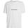 Textil Homem T-Shirt mangas curtas Calvin Klein Jeans  Bege