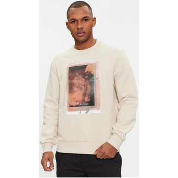 Textil Homem Sweats Calvin Klein Jeans K10K112756 Bege