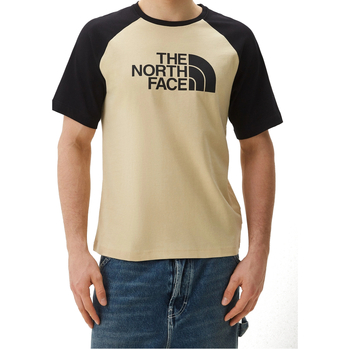 Textil Homem T-Shirt mangas curtas The North Face NF0A87N7 Cinza