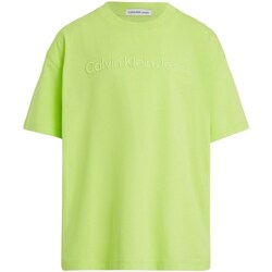 Textil Rapaz T-shirt mangas compridas KOSTUUM Calvin Klein Jeans IB0IB02030 Verde