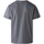 Textil Homem T-shirts e Pólos The North Face T-Shirt Fine - Smoked Pearl Cinza