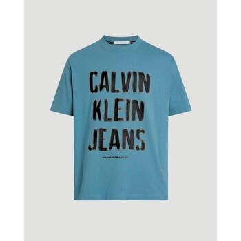 Textil Homem T-Shirt mangas curtas Shadow Calvin Klein Jeans J30J324648CFQ Azul