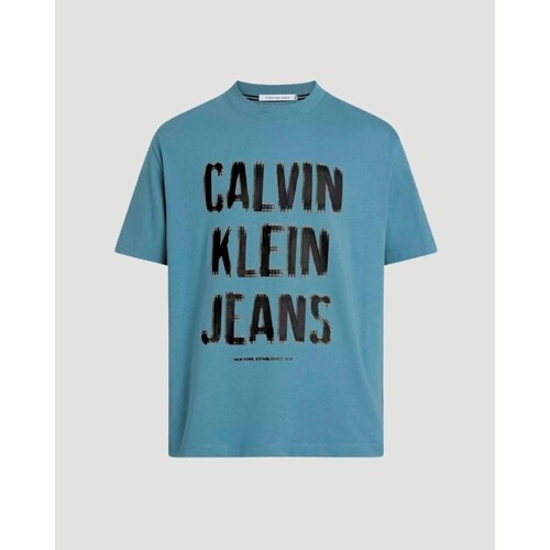 Textil Homem T-Shirt mangas curtas Calvin Klein Jeans J30J324648 Azul