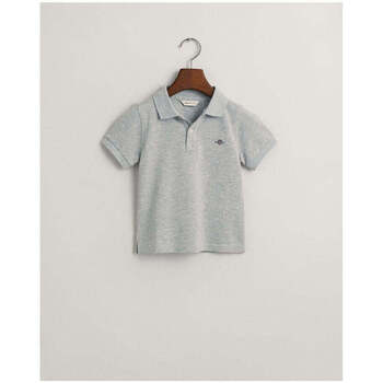 Textil Rapaz T-shirts e Pólos Gant Kids 802546-94-8-17 Cinza