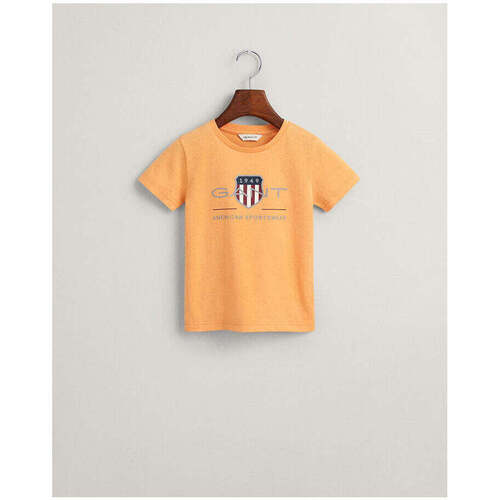 Textil Rapaz T-shirts e Pólos Gant Kids 805182-835-10-17 Laranja