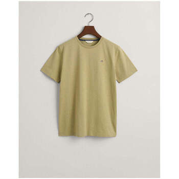 Textil Rapaz T-shirts e Pólos Gant Kids 905224-370-4-25 Verde