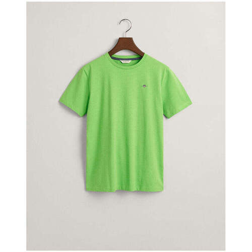 Textil Rapaz Franklin & Marsh Gant Kids 905224-378-4-29 Verde